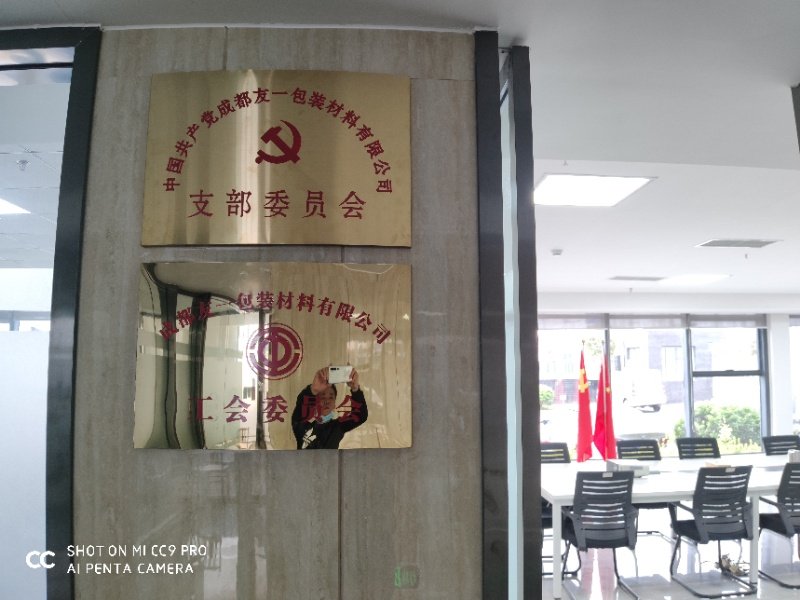 热烈祝贺尊龙凯时集团成都分公司党支部在2020年3月11日授牌成立，，，，，，，，支部书记曹云(行政部经理)